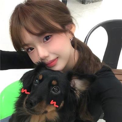 派特森与芬达猫4